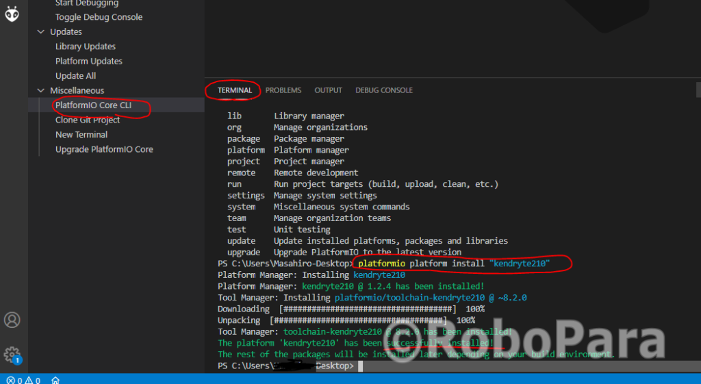Running Blink Sample on Maixduino using PlatformIO with VSCode | RoboPara