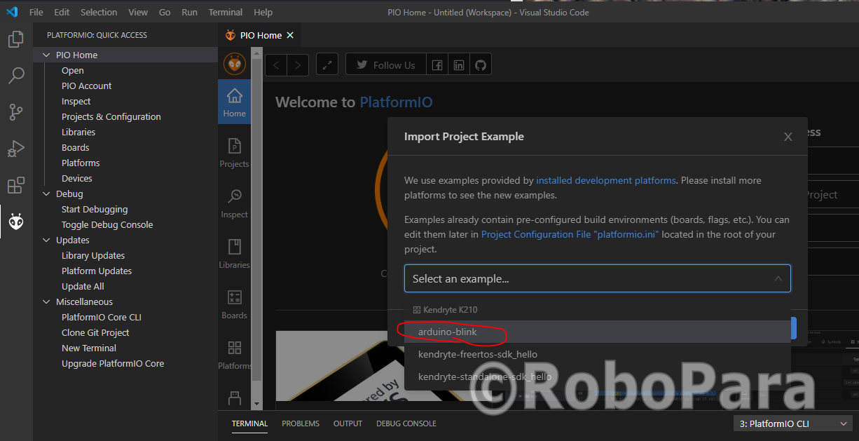 Running Blink Sample on Maixduino using PlatformIO with VSCode | RoboPara